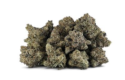 28g BC OZ-Snow Globe