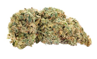 14g TRAILBLAZER-Frozen Limelight LTO