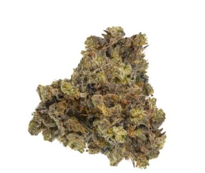 14g BUZZ-Blue Dragon