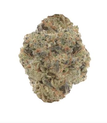 14g BUZZ-Agent Orange LTO