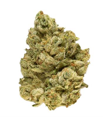 28g BROKEN COAST-Emergenz