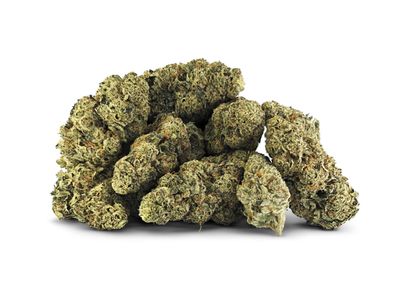 28g BC OZ-Heady Eddy