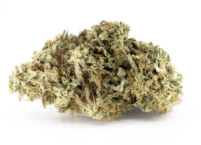 3.5g WOODY NELSON-Rainbow Driver