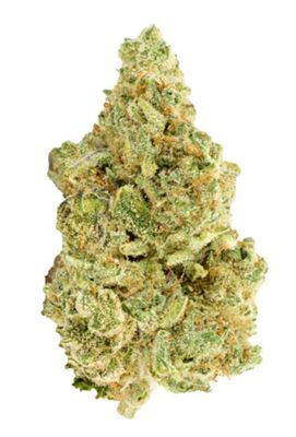 28g VERSUS-White Widow