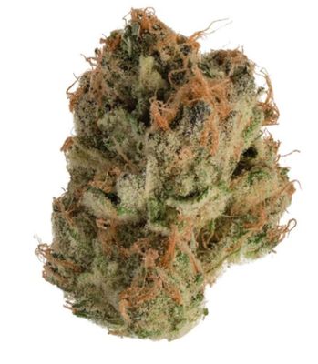 3.5g JONNY CHRONIC-Tropicanna