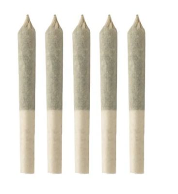 1.5g SIMPLY BARE-BC Organic Harlequin PR 5x.3g