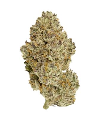 7g CHOKLIT PARK TOP SHELF-Golden Pineapple