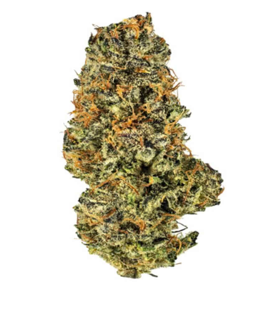 7g POTLUCK-Mac N Cheese