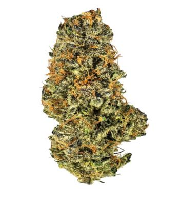 7g POTLUCK-Mac N Cheese