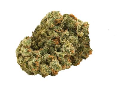 7g GOLDEN SPRUCE-Watermelon Oreoz LTO