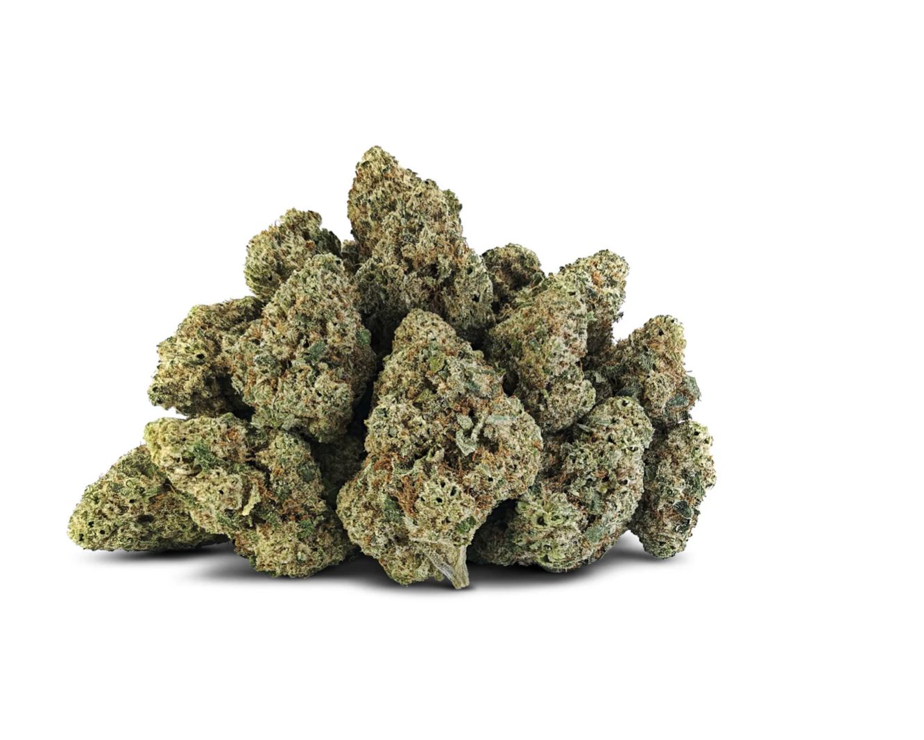 28g BC OZ-Holy Gmoly
