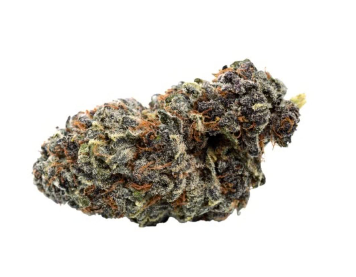 7g QWEST-Georgia Pie