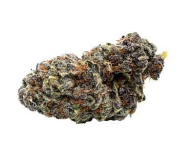 7g QWEST-Georgia Pie