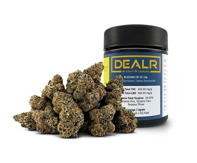 14g DEALR-Blizzard of Oz LTO