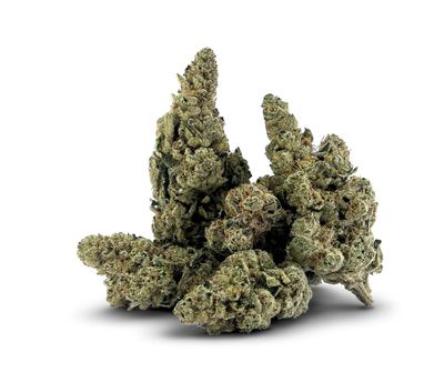 7g BC 1/4-Lobster Rollz