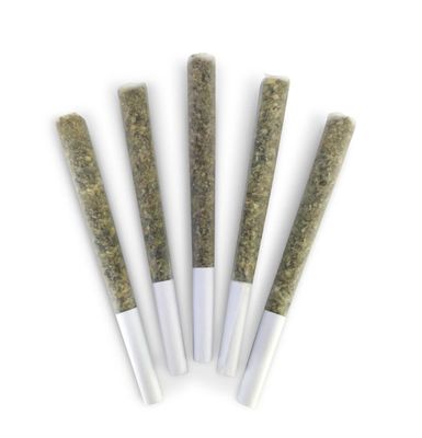2.5g DEALR-El Changuito PR 5x.5g