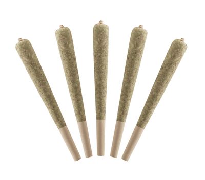 2.5g STANDARD ISSUE-Sour Raspberry Infused PR 5x.5g