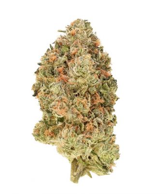 28g SIMPLY BARE-BC Organic Black Zoap LTO