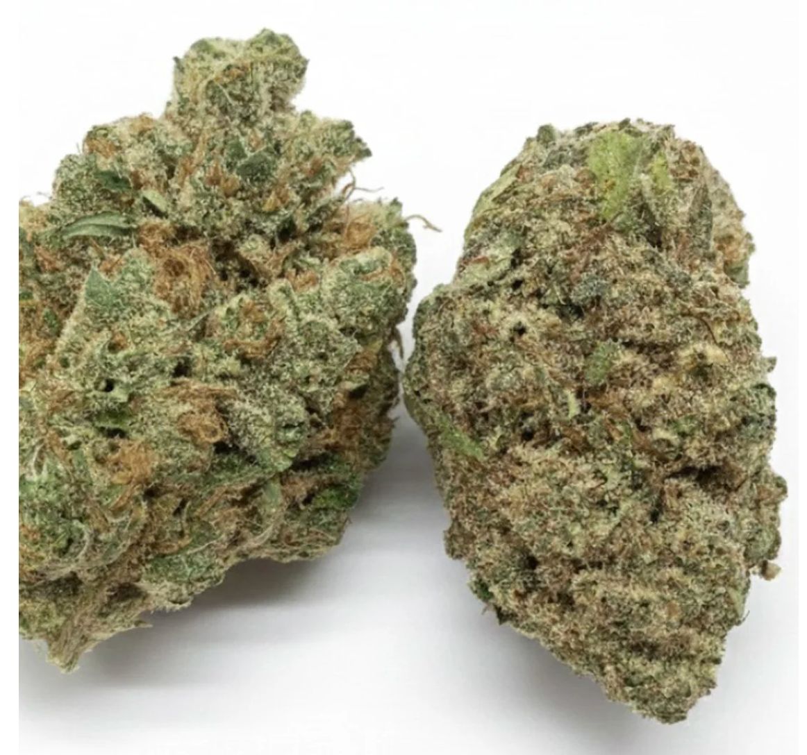 28g HIGHLY DUTCH-Red Pop Rntz