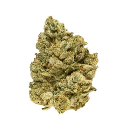 7g BROKEN COAST-Emergenz