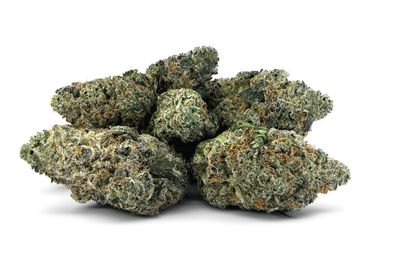 14g DEALR-Boba Belts