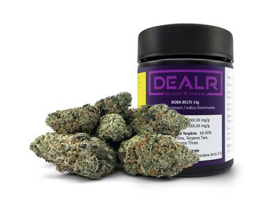 14g DEALR-Boba Belts