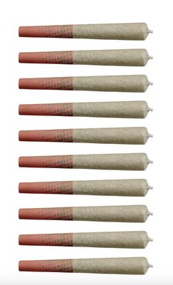 5g BIG BAG O’ BUDS-Blueberry Dream PR 10x.5g