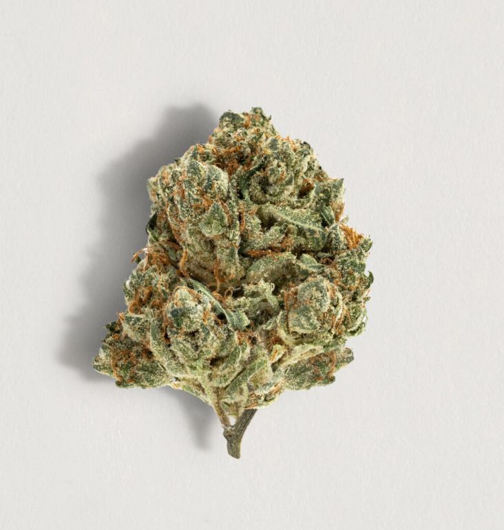 14g PURE SUNFARMS-Alien Pebbles LTO