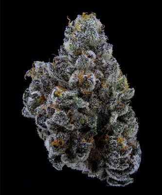 3.5g SWEETGRASS ORGANIC-Limelight Petites | Limited Edition