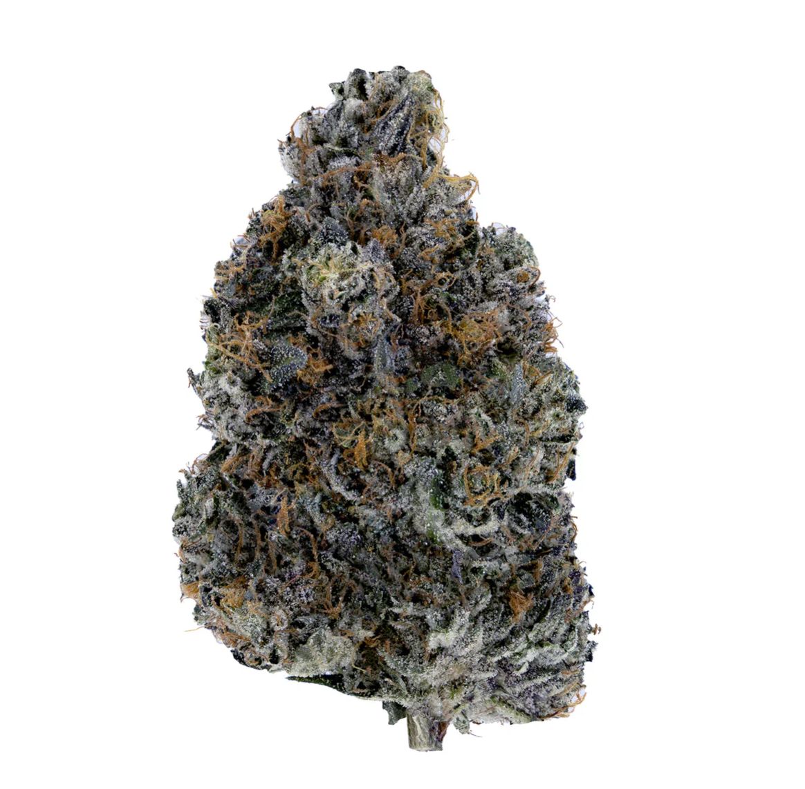 3.5g WOODY NELSON-Dark Rainbow