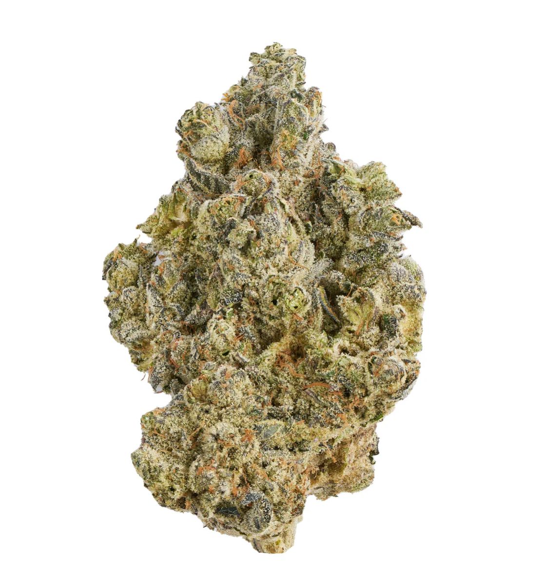 28g BROKEN COAST-La Bomba