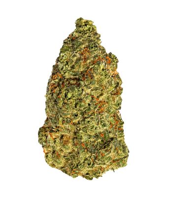 14g SOUTH POINT-Turbo Diesel