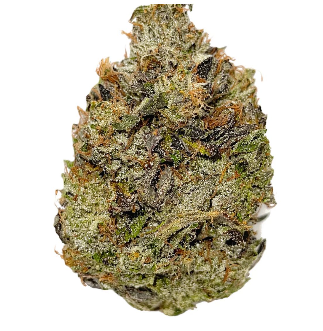 3.5g SALTSPRING MAGIC-TImmy’s OG Shark