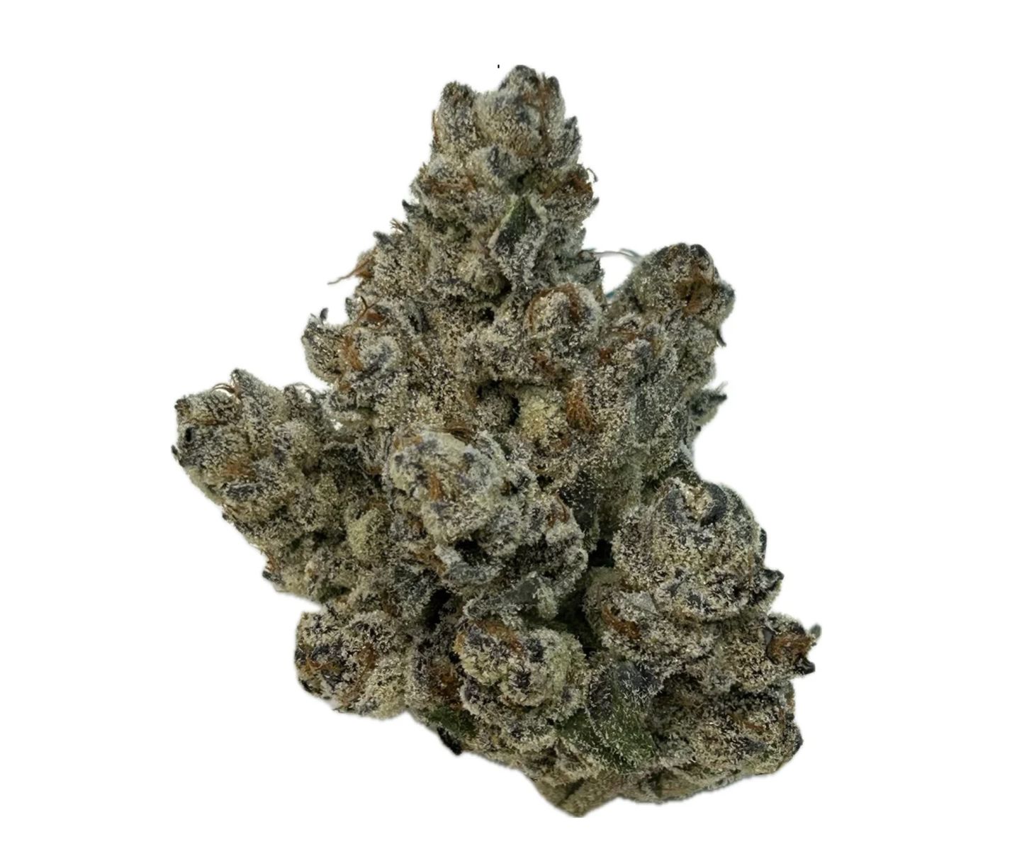 3.5g ROCKY MOUNTAIN-Cappy Gilmore Smalls