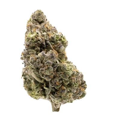 28g FIGR-Midnight Sherb