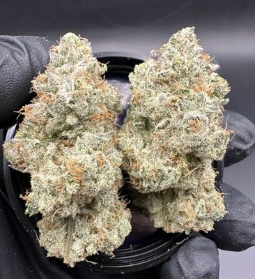 1.5g KOOTENAY CULTIVAR-O.J. Zainbow PR 3x.5g