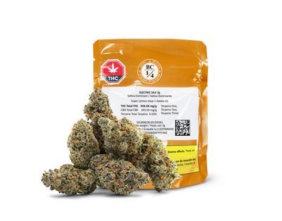 7g BC 1/4-Electric Silk