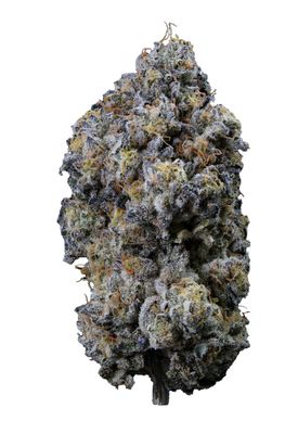3.5g SWEETGRASS-Pine Mentz Smalls LTO