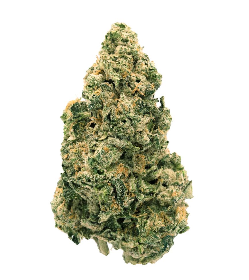 7g BACK40-Galactic Jack