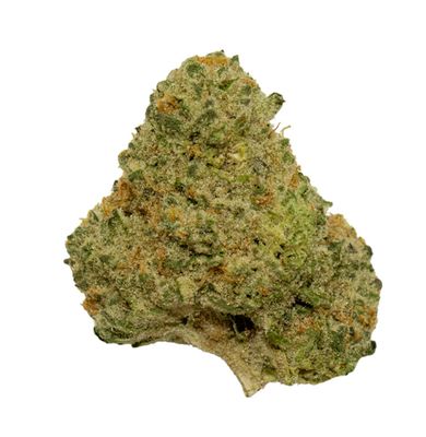 7g CHOKLIT PARK-Hawaiian Snow