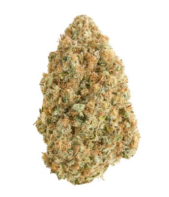 7g BROKEN COAST-Blue Dream