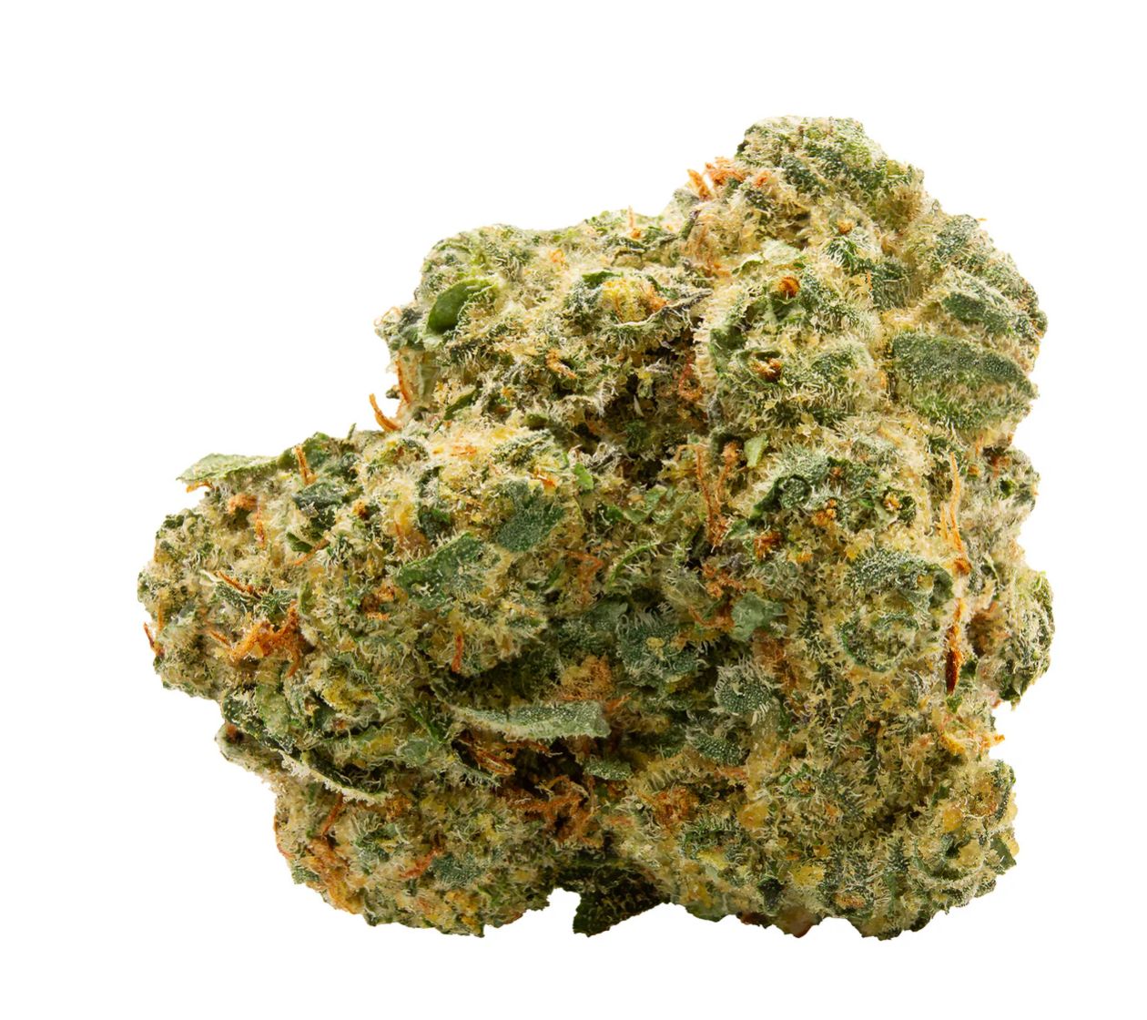 28g SPINACH-Blue Thai #2