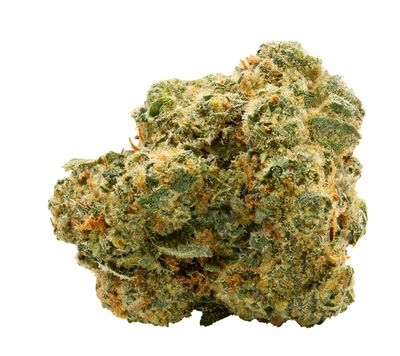 28g SPINACH-Blue Thai #2