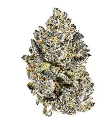 7g CHOKLIT PARK TOP SHELF-Black Roses