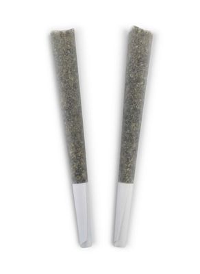 2g BC DOOBIES-Honey Bear PR 2x1g