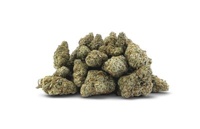 28g BC OZ-Bazooka LTO