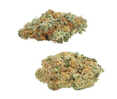 28g BIG BAG O’ BUDS COMBOZ-Amnesia &amp; Tropicanna Variety Pack 2x14g