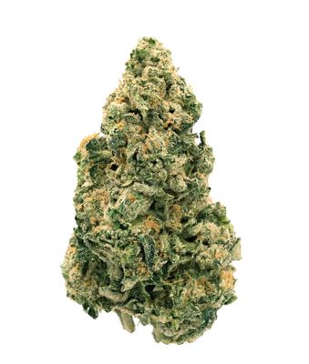 28g BACK40-Galactic Jack