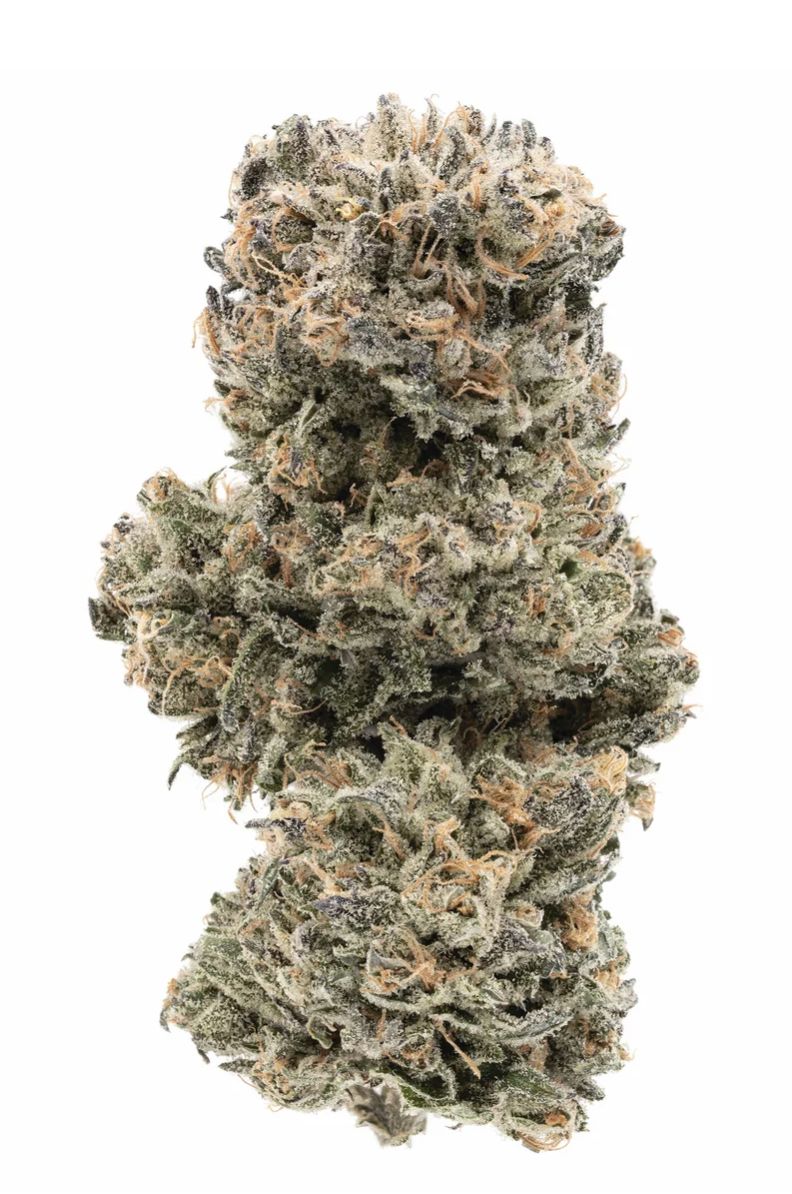 7g 1964-Tropicanna