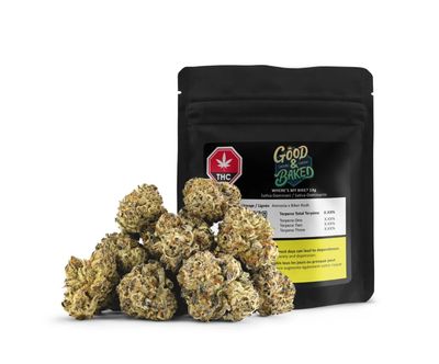 14g GOOD &amp; BAKED-Where’s My Bike?